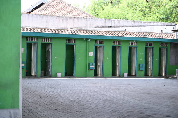Best Affordable portable toilet rental  in Attica, MI